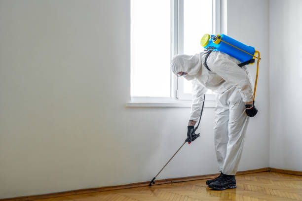 Best Emergency Pest Control  in Somerdale, NJ